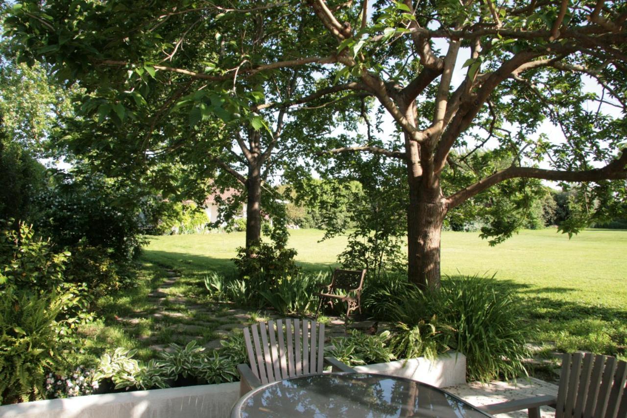 Pietrasanta - Versilia - Villa Arzilla Garden Con Piscina Tonfano Exterior photo