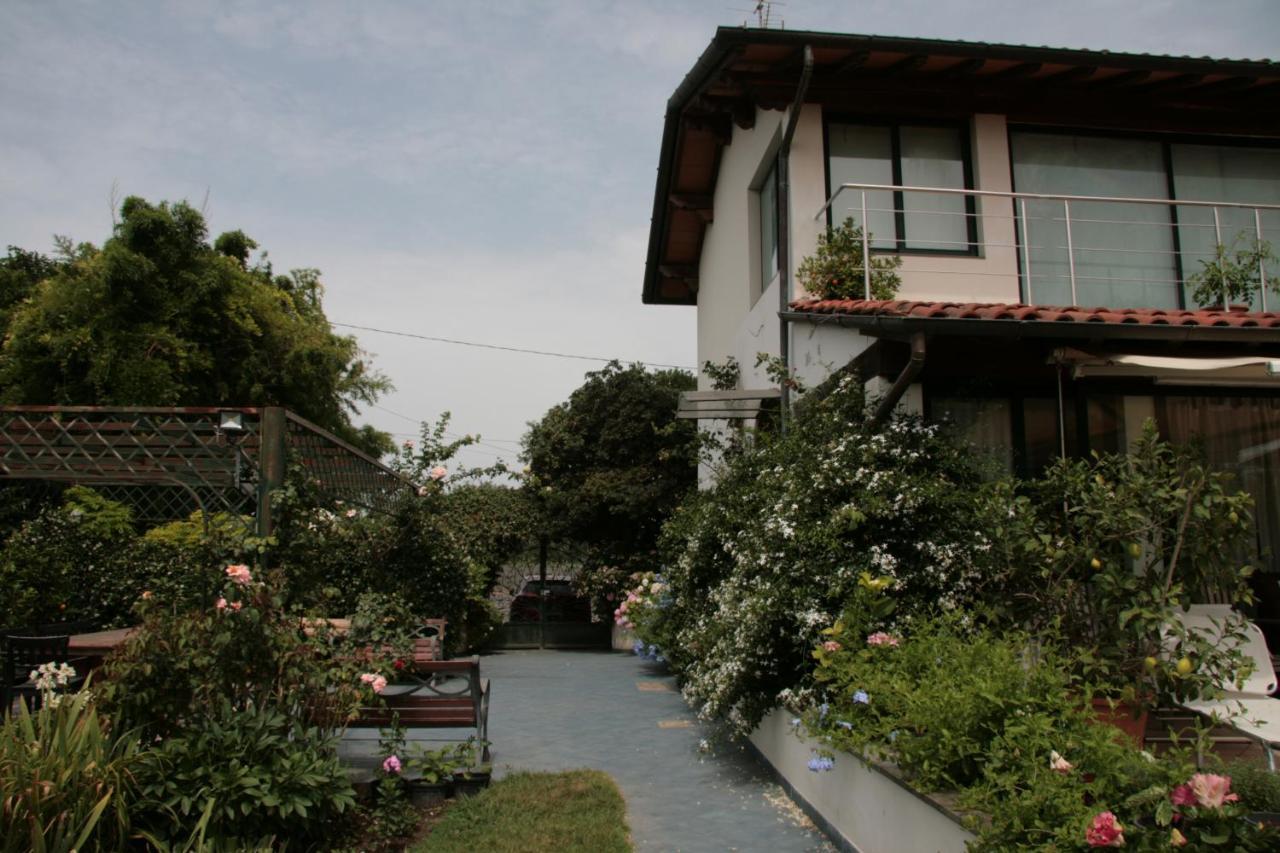 Pietrasanta - Versilia - Villa Arzilla Garden Con Piscina Tonfano Exterior photo