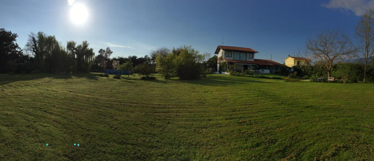 Pietrasanta - Versilia - Villa Arzilla Garden Con Piscina Tonfano Exterior photo